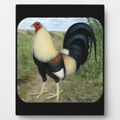 Country Road Gamecock Fotoplatte (Vorderseite)