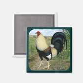 Country Road Gamecock Magnet (Vorderseite/Rückseite)