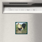 Country Road Gamecock Magnet (In Situ (Geschirrspüler))