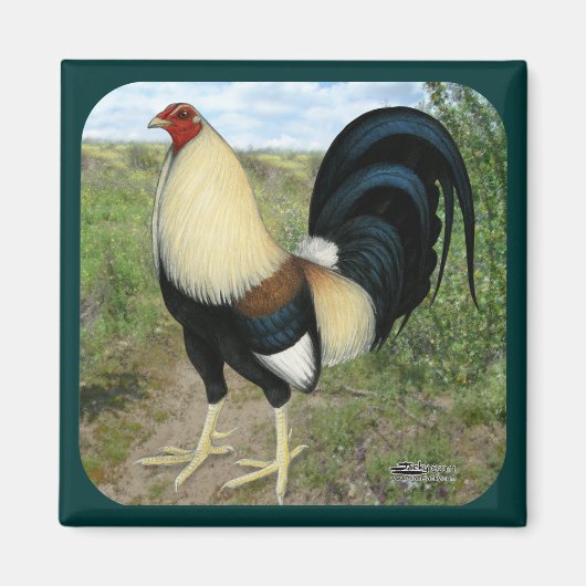 Country Road Gamecock Magnet (Vorne)