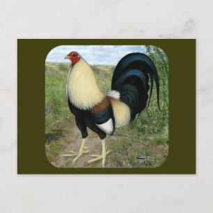 Country Road Gamecock Postkarte