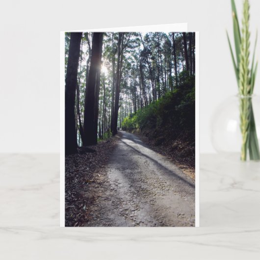 Country road through forest karte (Vorderseite)