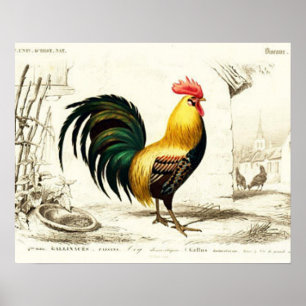 Country Rooster Vintage Zuhause-Wanddekoration Poster