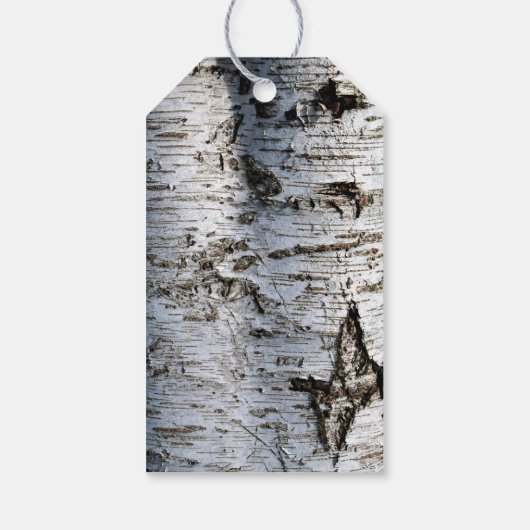 Country Rustic Birch Tree Hochzeit Geschenkanhänger (Rückseite)