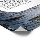 Country Rustic Birch Tree Hochzeitstabelle Poster (Ecke)