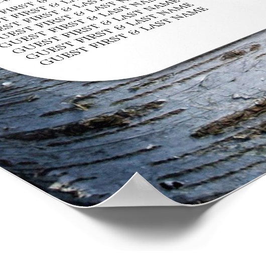 Country Rustic Birch Tree Hochzeitstabelle Poster (Ecke)