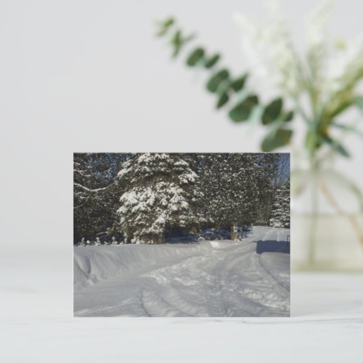 Country Snowy Driveway Postkarte (Stehend Vorderseite)