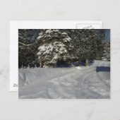Country Snowy Driveway Postkarte (Vorne/Hinten)