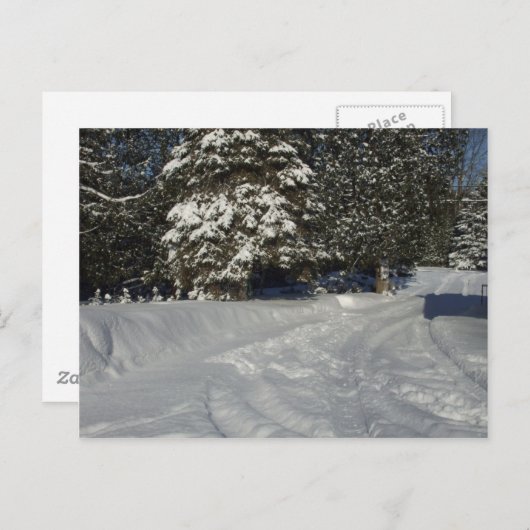 Country Snowy Driveway Postkarte (Vorne/Hinten)