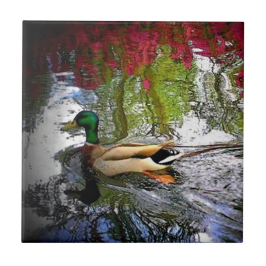 Country Southern Duck Tile Fliese (Vorderseite)