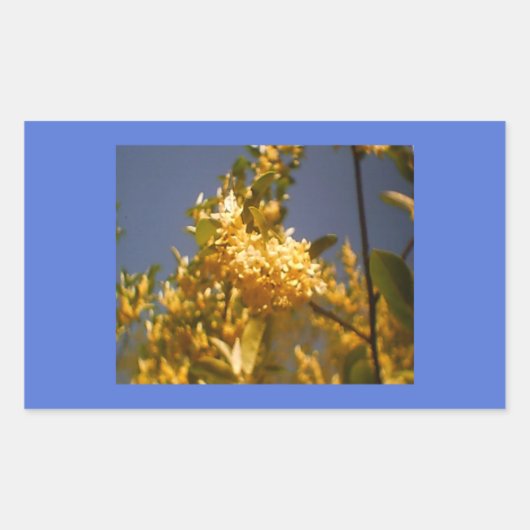 Country Summer Flour Rechteckiger Aufkleber (Vorderseite)