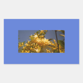 Country Summer Flour Rechteckiger Aufkleber