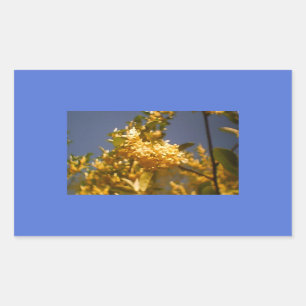 Country Summer Flour Rechteckiger Aufkleber