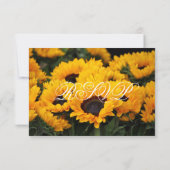 Country Sunblumen Blumenzwiebelkarten RSVP Karte (Rückseite)