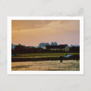 Country-Vibe-Sonnenuntergang Frühjahr Postkarte