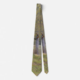 Country-Zaun und ein Eichhörnchen Neck Tie Krawatte