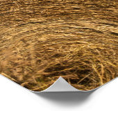 Countryside Hay Bales Poster (Ecke)