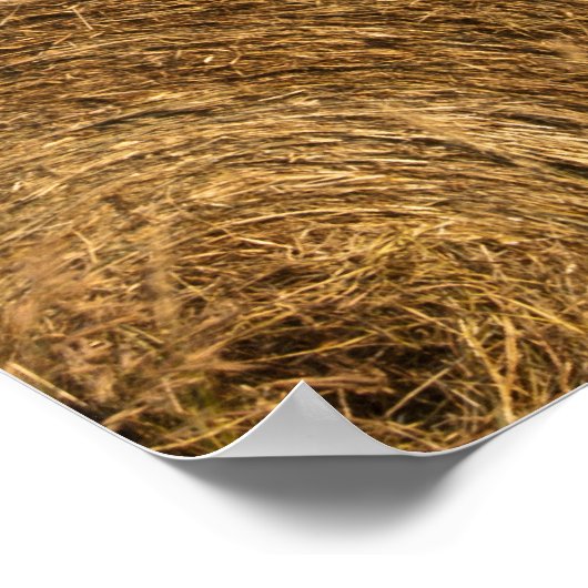 Countryside Hay Bales Poster (Ecke)