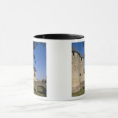 Counts Castle, Carcassonne, Aude, Languedoc, Tasse (Zentrum)
