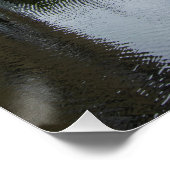 County Bridge and the River Calder, Sowerby Bridge Poster (Ecke)