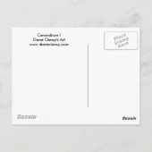 Counundrum I - Rainbow Woman Postkarte (Rückseite)