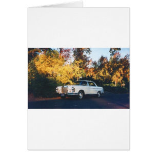 Coupé 1965 Mercedes-Benz 220SEb