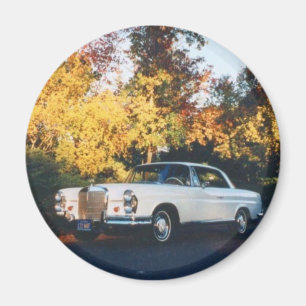 Coupé 1965 Mercedes-Benz 220SEb Magnet