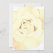 Couple Dusche Elfenbeinblume Rose Blume Hochzeit Einladung (Rückseite)