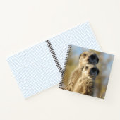 Couple of Meerkats Cute Photo Notizblock (Innenseite)
