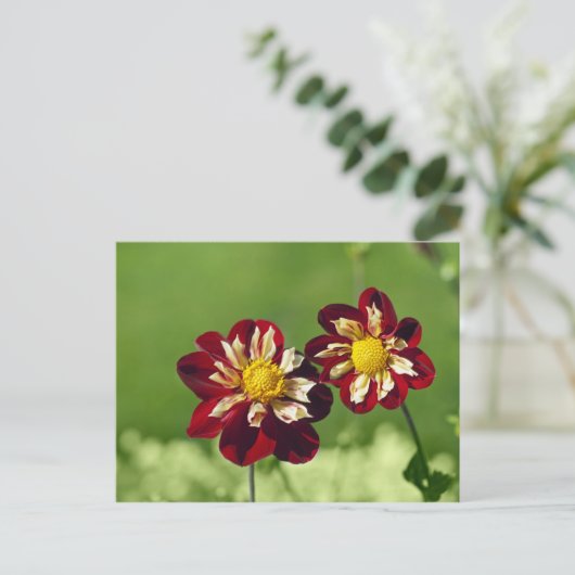 Couple Postcard Postkarte (Stehend Vorderseite)