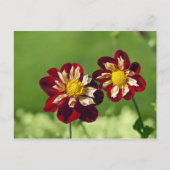 Couple Postcard Postkarte (Vorderseite)