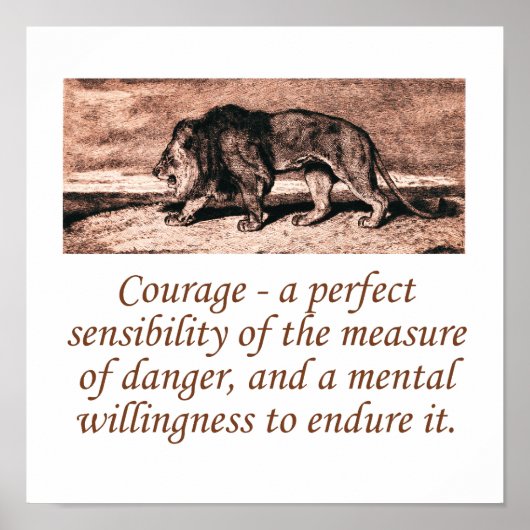 Courage a Perfect Sensibility Poster (Vorne)