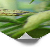 Courage Bible Verse Inspirational Butterfly poster (Ecke)