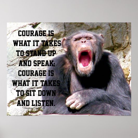 Courage_ Poster (Vorne)