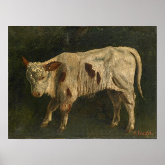 Courbet - Das Kalb Poster (Vorne)