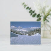 Courchevel, Frankreich, Zuhause des Skiareals Tree Postkarte (Stehend Vorderseite)