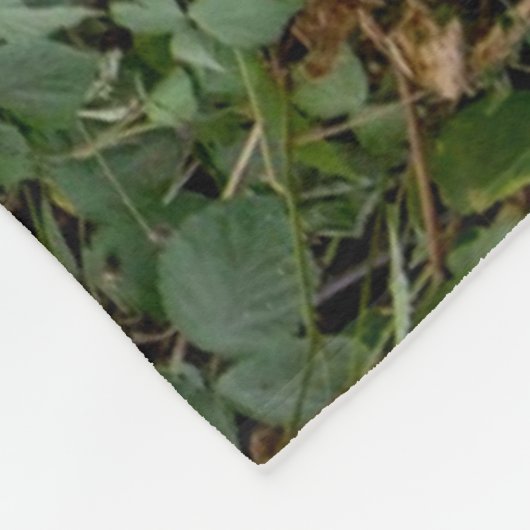 COURTEOUS KNIGHT FLEECEDECKE (Ecke)