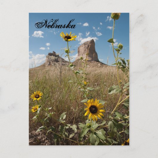 Courthouse and Jail Rock, Nebraska Postcard Postkarte (Vorderseite)