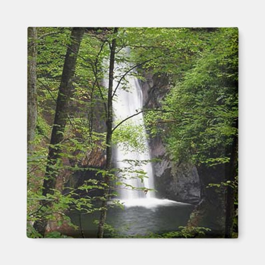 Courthouse Falls Magnet (Vorne)