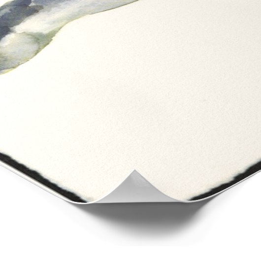 Courting Otters Poster (Ecke)