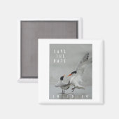 Courting Royal Terns, Save the Date Magnet (Vorderseite/Rückseite)