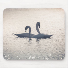 Courting Swans Nature Foto Mousepad