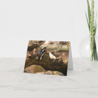 "Courtship" (Downy Woodpeckers) - leere Note Card Dankeskarte