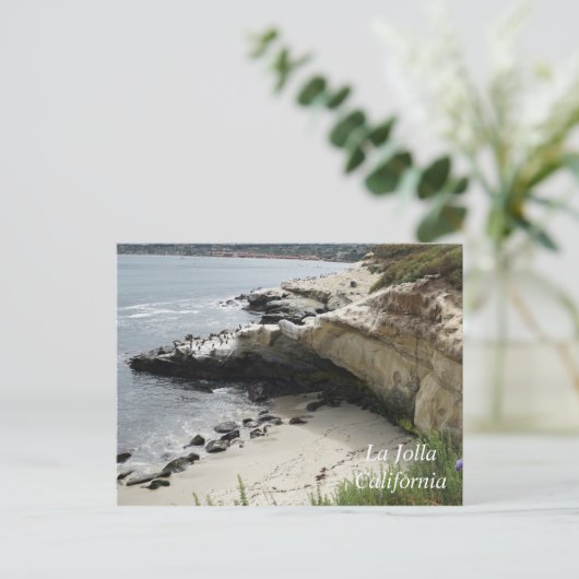 Cove La Jolla in Kalifornien Postkarte (Stehend Vorderseite)