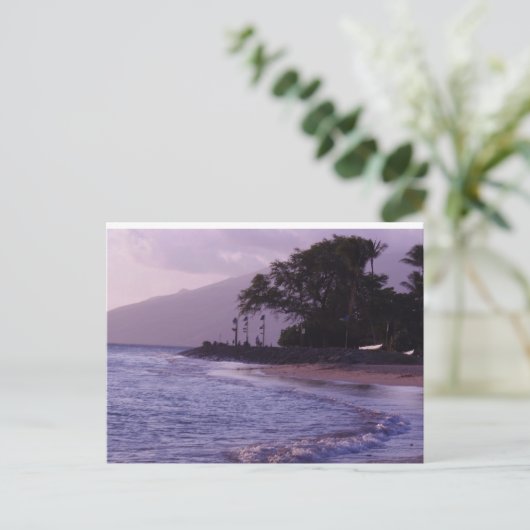 Cove Park Postkarte (Stehend Vorderseite)