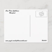 Cove Point Lighthouse Postkarte (Rückseite)