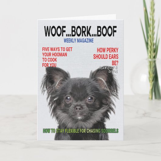 Cover Card des Chihuahua Parody Magazine Karte (Vorderseite)