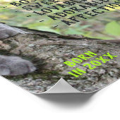 Cover für die Kitty Cat Poster (Ecke)