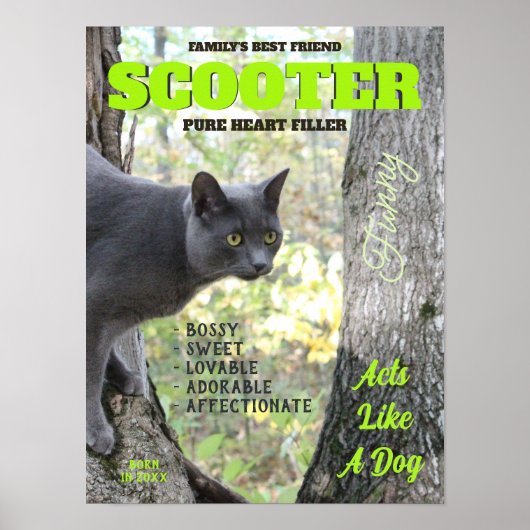 Cover für die Kitty Cat Poster (Vorne)