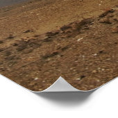 Cover Print Poster (Ecke)